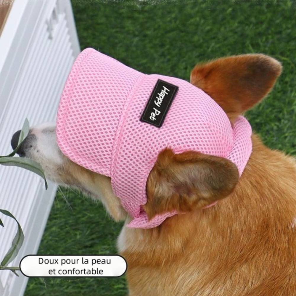 IntiMeg - Chapeau de soleil rose pour chien s - IntiMeg - Image 6