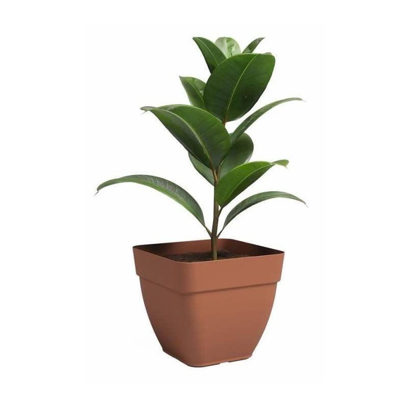 Artevasi - Pot - Artevasi - Capri Campana - Carrée� - Terre Cuite - L36,5 X P36,5 X H33,5 Cm - Imagen 2