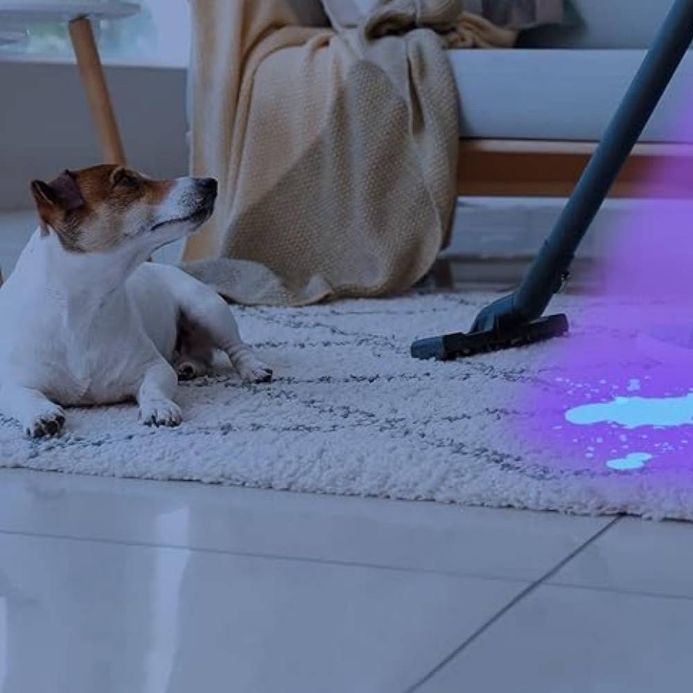 IntiMeg - Lampe de détection d'urine d'animaux IntiMeg - Image 3