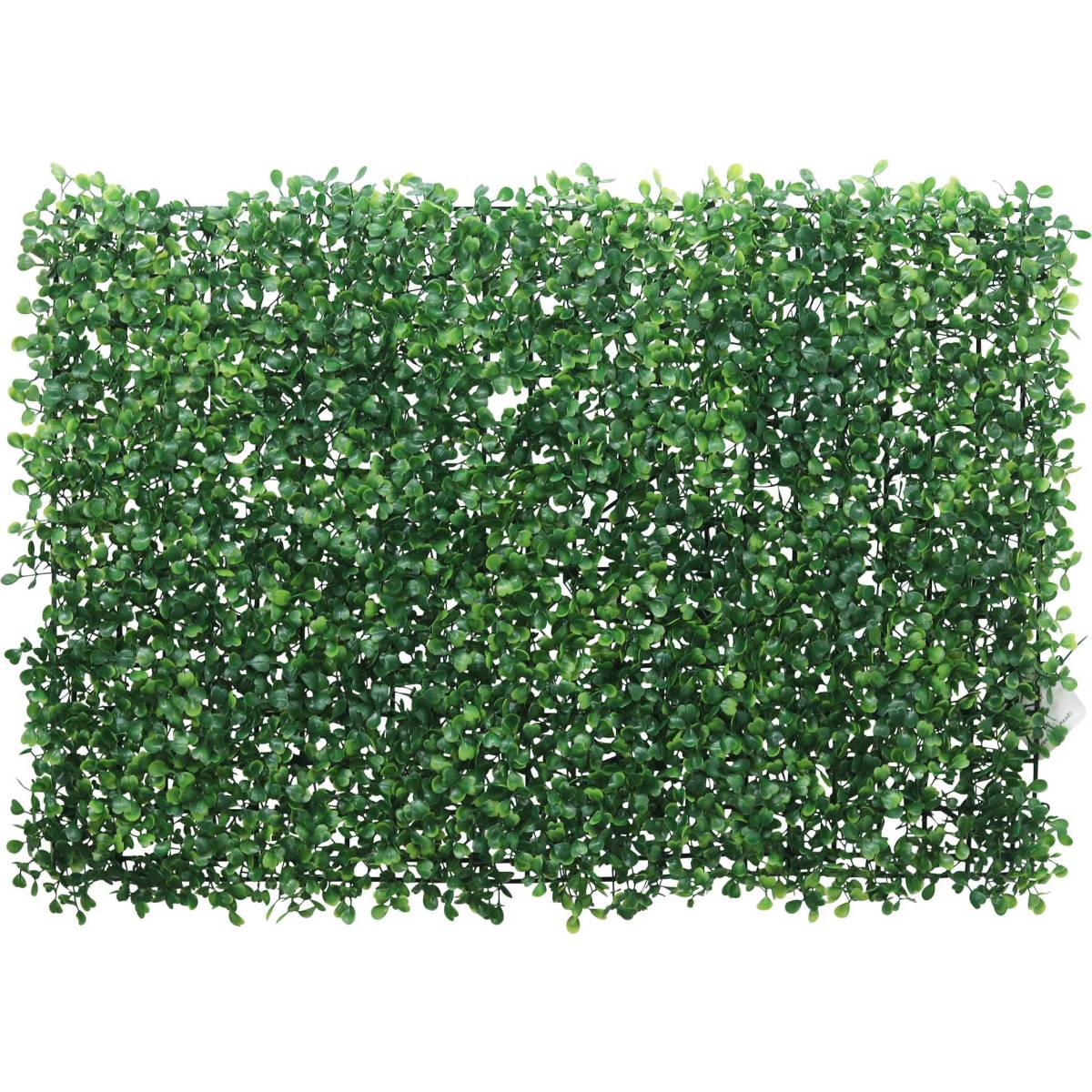 Jardindeco - Mur végétal de buis artificiel 60 x 40 cm  JardinDeco Sovimport - Imagen 1