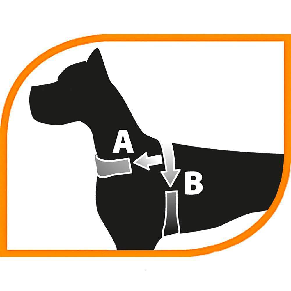 Ferplast - Ferplast Harnais chien SPORT DOG, Harnais pour chien taille petite,  Harnais Suédois, Rembourrage doux, Coutures Réfléchissantes, Fermeture par - Imagen 2
