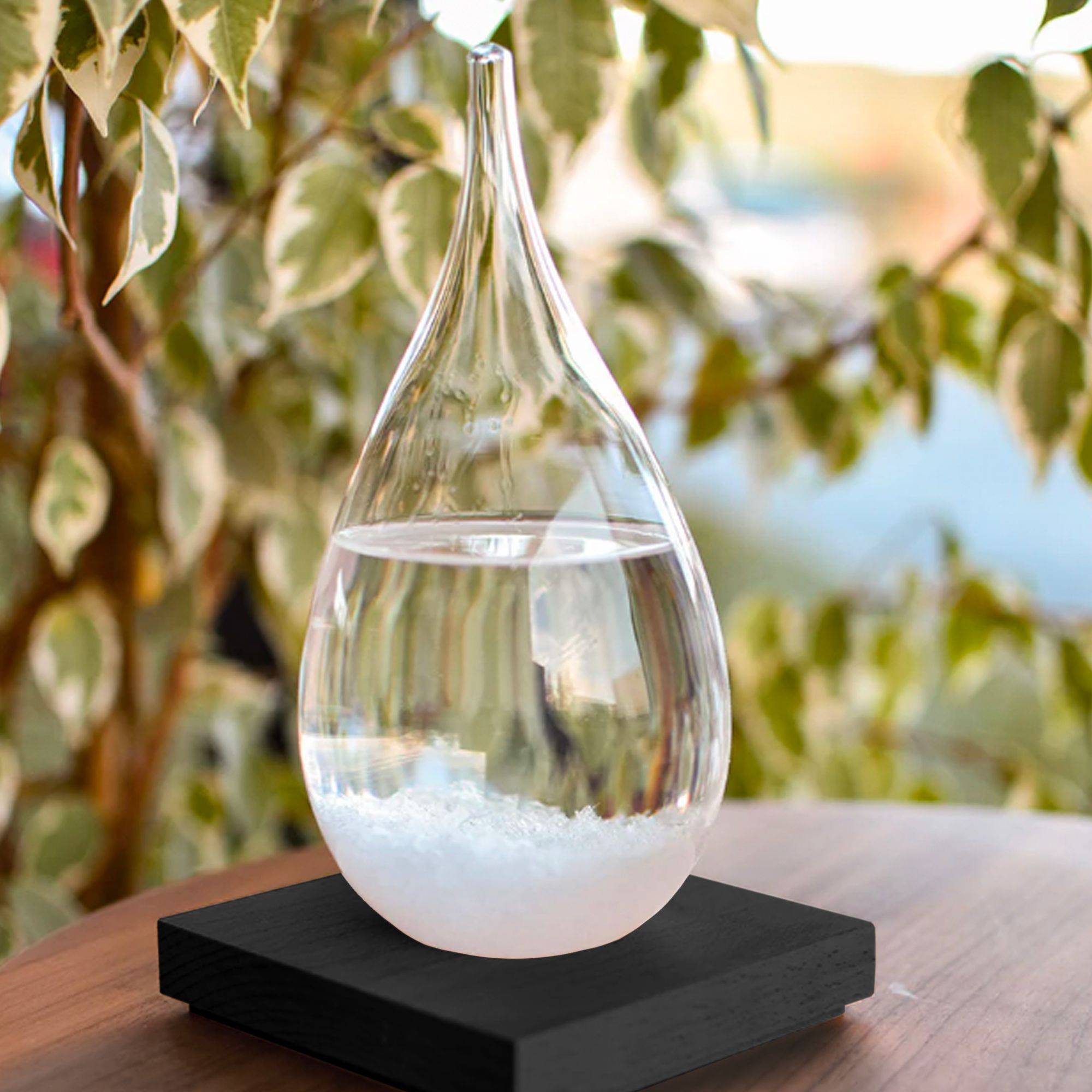 Baromètre à Cristaux Storm Glass - Bouteille de Prévisions Météo - Verre de tempête 20 cm - Socle en Bois - Image 7