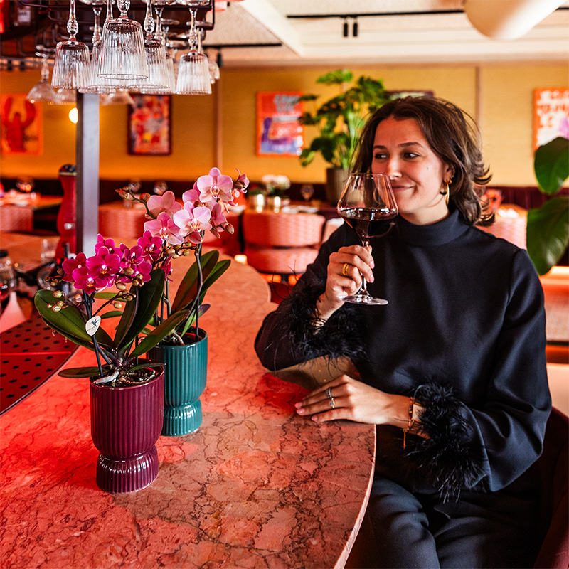 Orchidée Phalaenopsis 'Chamonix' violette - Pot de 9cm - Plantes d'intérieur - Image 3