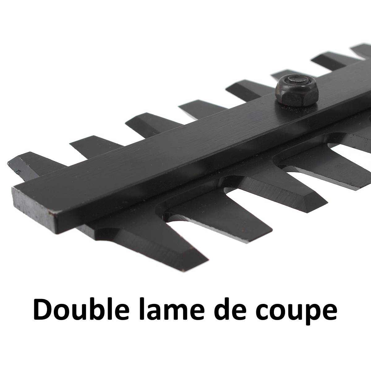 Gt Garden - Taille-haies thermique, 22.5 cm3, 1.1 CV, double lame 55 cm - GT GARDEN - Image 5