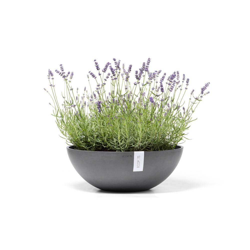 Ecopots - Pot Rond Vienna 50 Gris - Ø 50 x H. 18 cm - 22,3 L ECOPOTS - Imagen 2