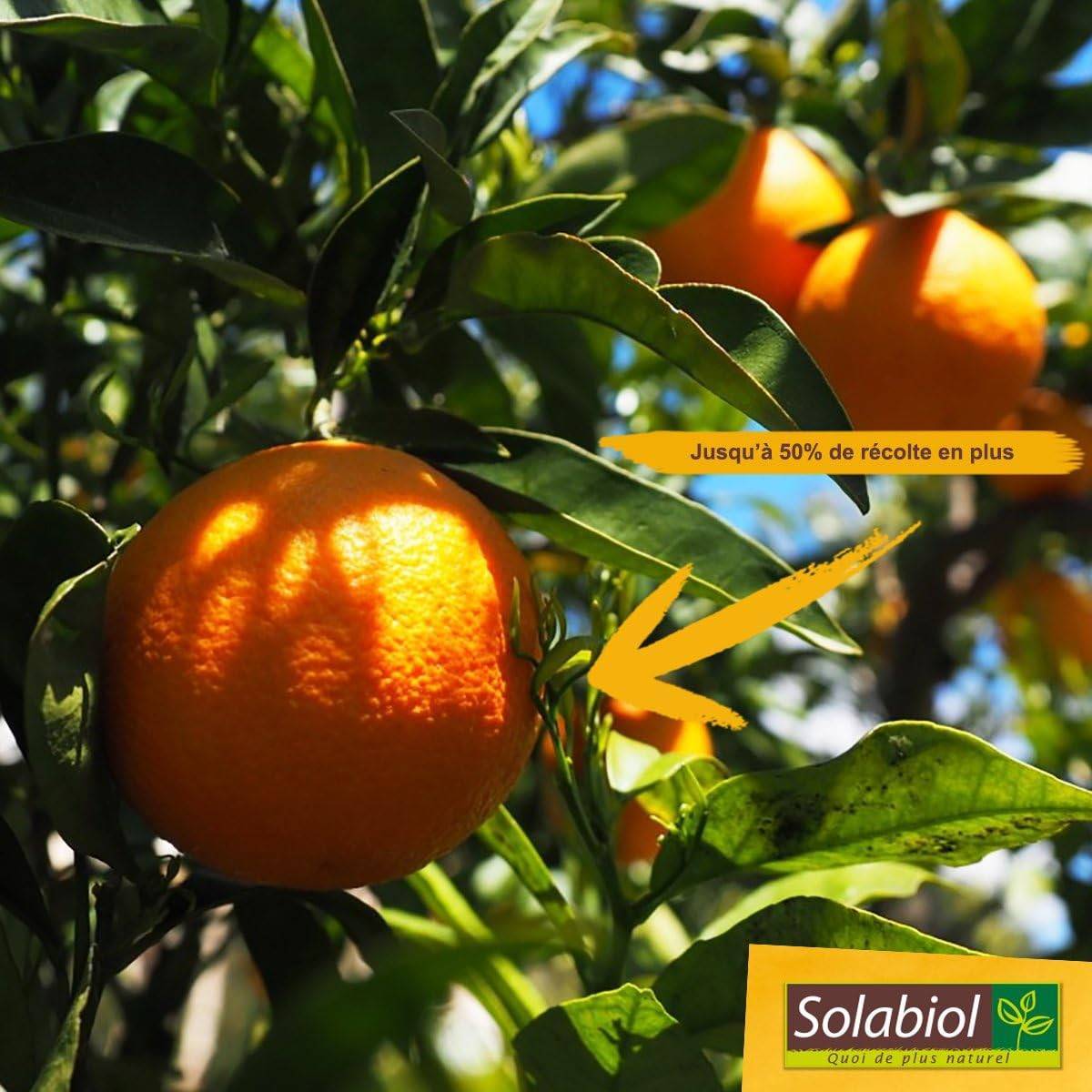 Solabiol - Solabiol - Engrais agrumes - 750 g - Image 3