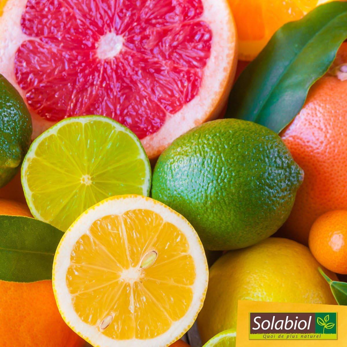 Solabiol - Solabiol - Engrais agrumes - 750 g - Image 4