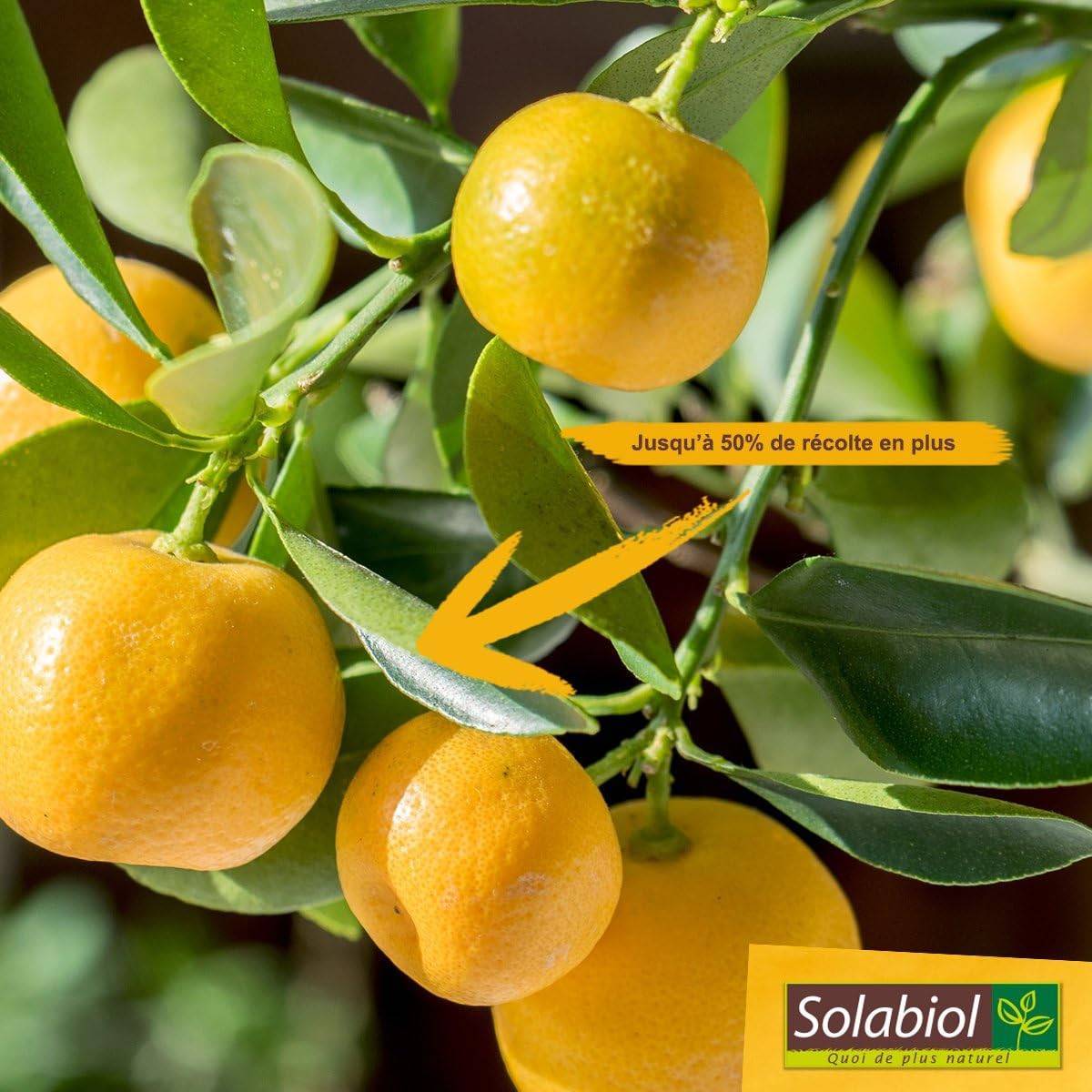Solabiol - Solabiol - Engrais agrumes - 750 g - Image 2