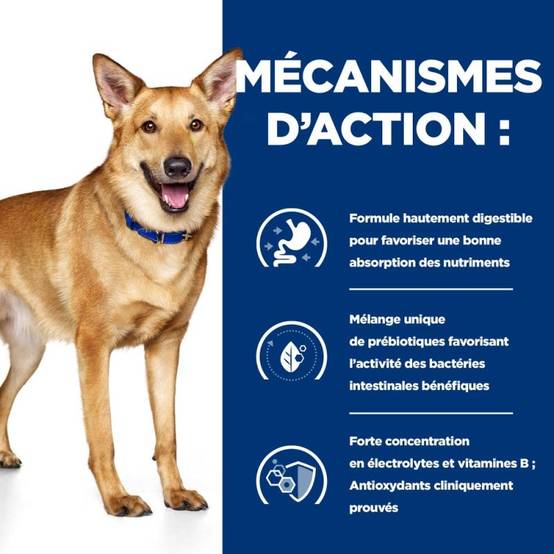 CROQUETTES CHIEN ADULT PRESCRIPTION DIETS I/D DIGESTIVE CARE - HILL'S 16 kg - Image 5