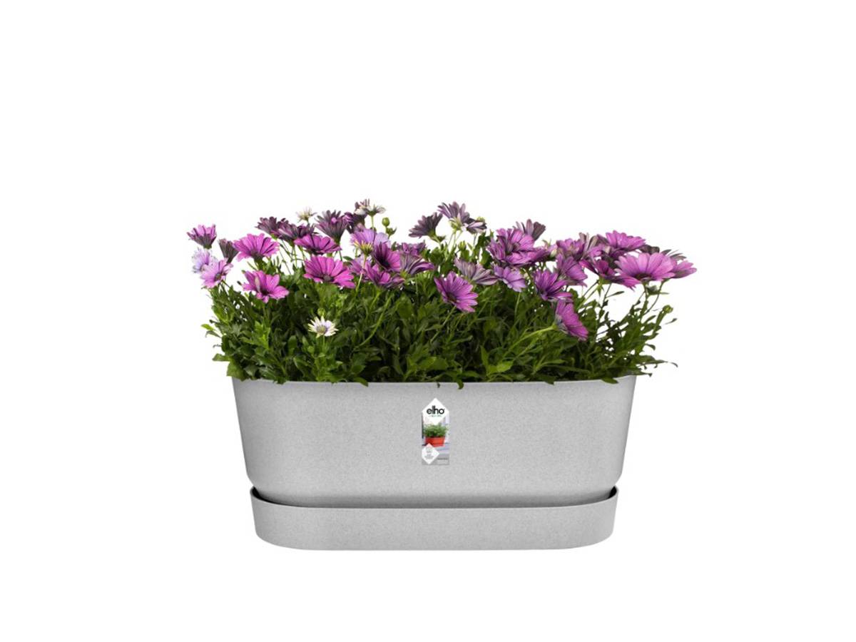 Elho - Planteur Ovale Greenville - Plastique - Avec Roulettes - ø60 - Living Ciment - Imagen 8