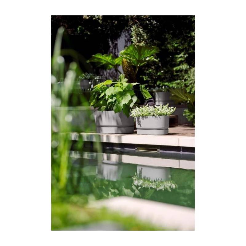 Elho - Planteur Ovale Greenville - Plastique - Avec Roulettes - ø60 - Living Ciment - Imagen 6