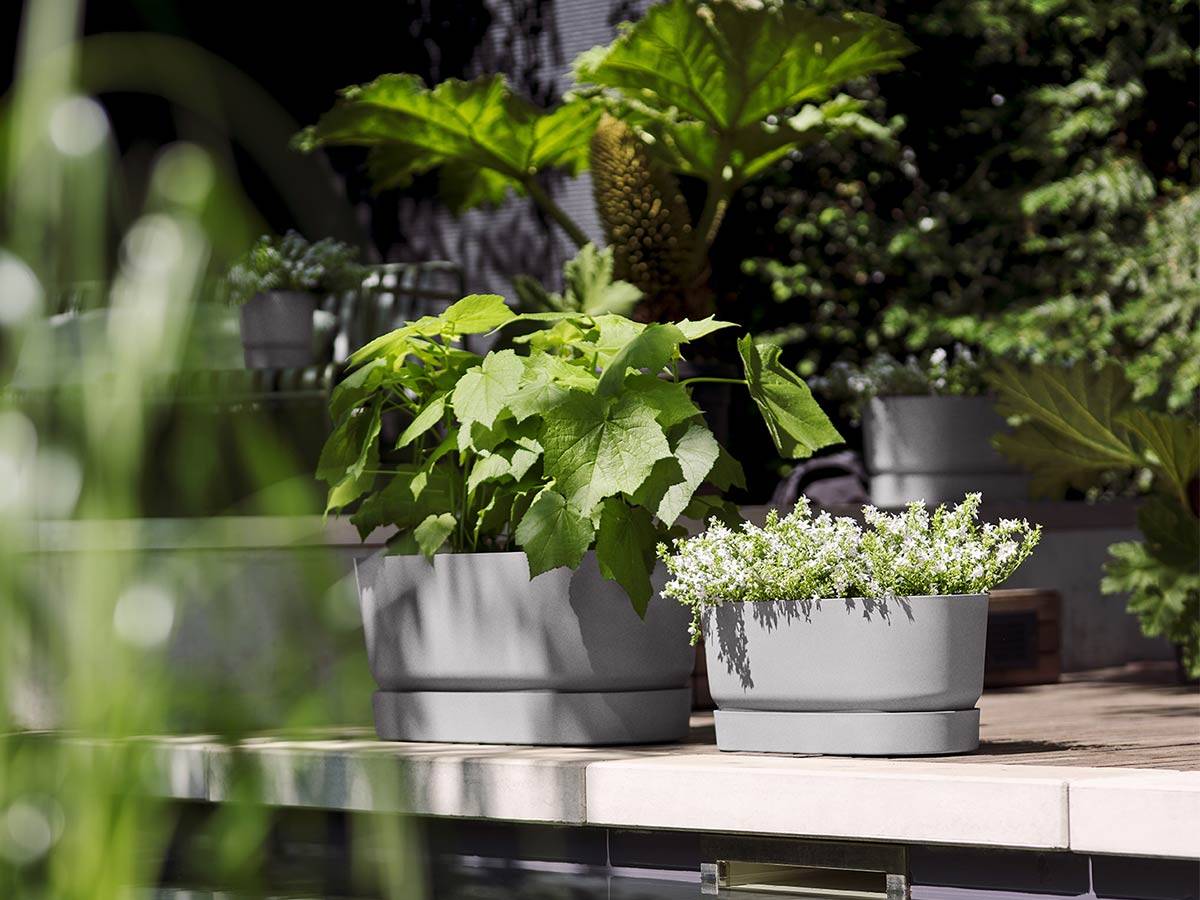 Elho - Planteur Ovale Greenville - Plastique - Avec Roulettes - ø60 - Living Ciment - Imagen 7