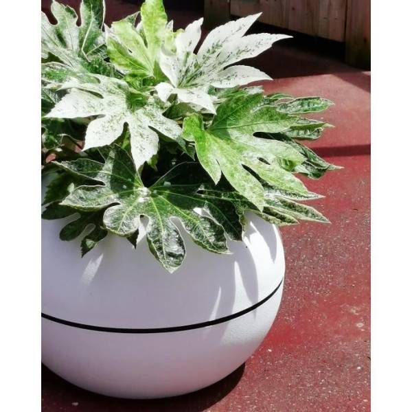 Riviera - Bac A Fleurs Rond Riviera Granit Boule - Plastique - Diametre 50 Cm - Blanc - Image 3