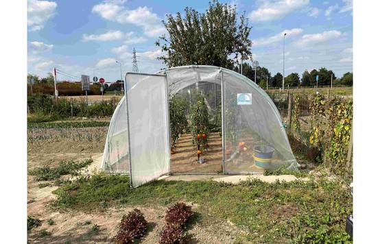 Serre tunnel de jardin - 27m² - 3,7 x 7,5 m - pieds arrondis - polyéthylène haute densité - aérations latérales - LES SERRES TONNEAU - Image 5