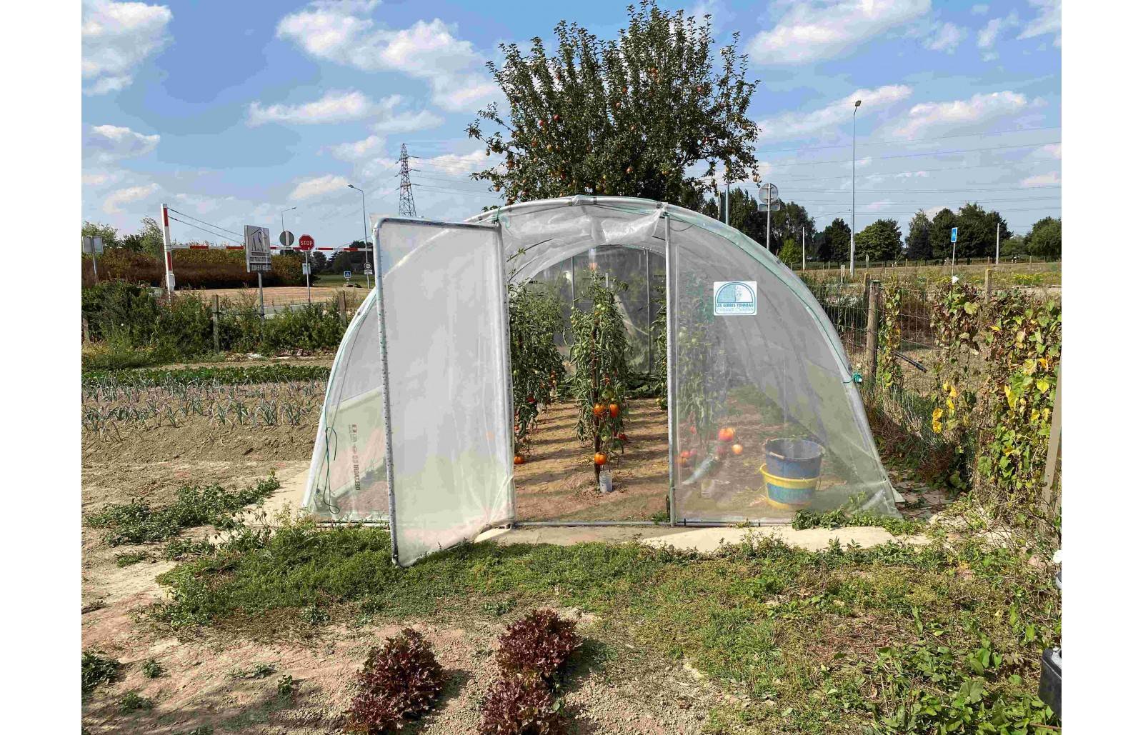 Serre tunnel de jardin - 27m² -  3,7 x 7,5 m - pieds arrondis - polyéthylène haute densité - aérations latérales - LES SERRES TONNEAU - Image 5