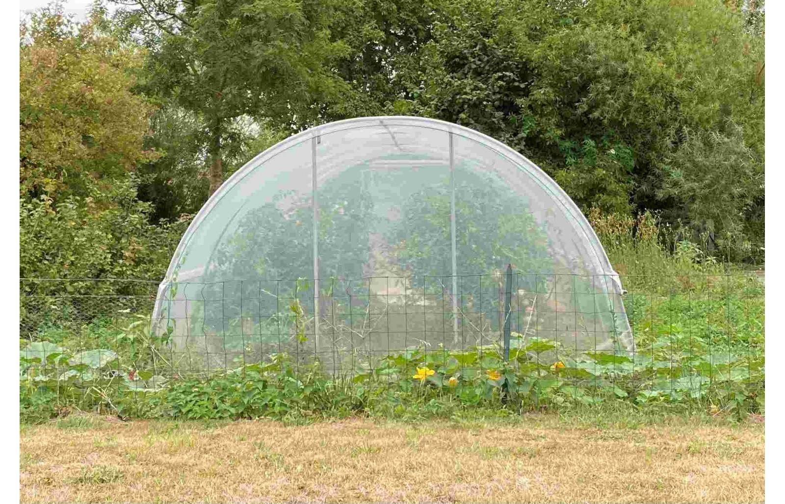 Serre tunnel de jardin - 27m² -  3,7 x 7,5 m - pieds arrondis - polyéthylène haute densité - aérations latérales - LES SERRES TONNEAU - Image 6