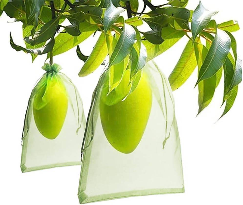 Lot De 70 Sachets De Protection Pour Raisins/fruits En Organza - Vert, 30x20cm - Neuf