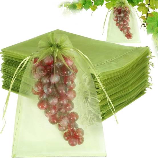 1246900462 BAGUETTE MOULURE DE PORTE AVANT DROITE BAS 1246900462 BAGUETTE MOULURE DE PORTE AVANT DROITE BAS