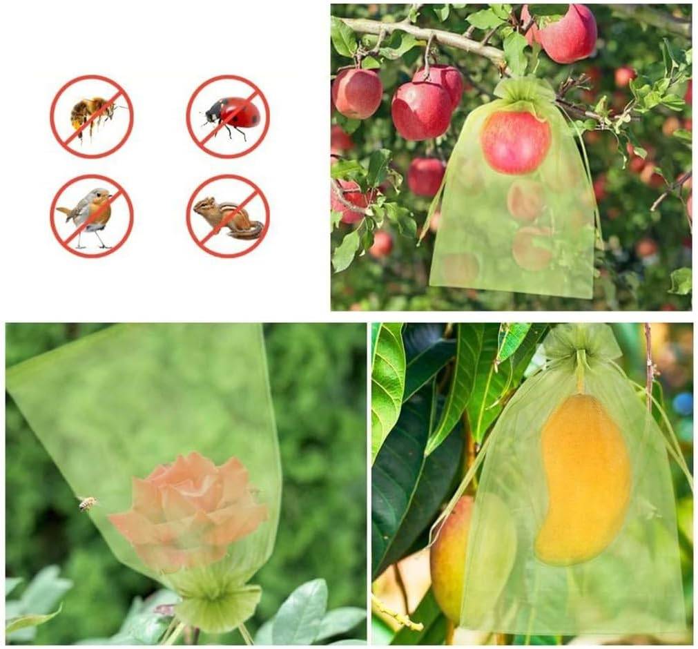 70 Sachets De Protection En Organza Pour Raisins/fruits - 30x20 Cm Avec Cordon - Vert - Neufs