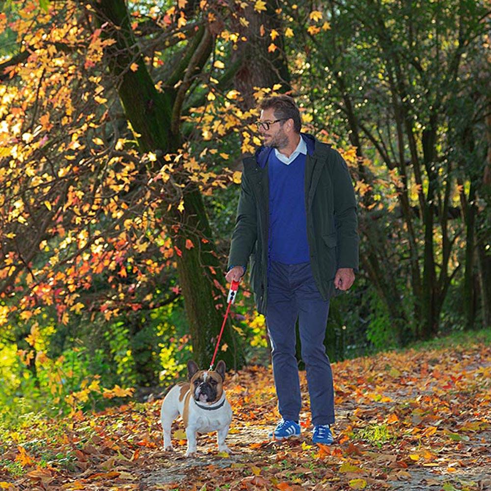 Ferplast - Ferplast Laisse Chien Enrouleur AMIGO MEDIUM, Laisse pour Chiens de Taille Moyenne jusqu'à 25 Kg. Cordon Extensible max 5 m. Bouton de verrouillage et - Imagen 3