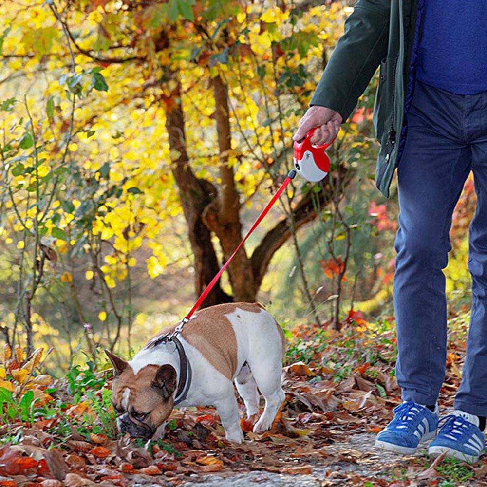 Ferplast - Ferplast Laisse Chien Enrouleur AMIGO MEDIUM, Laisse pour Chiens de Taille Moyenne jusqu'à 25 Kg. Cordon Extensible max 5 m. Bouton de verrouillage et - Imagen 4