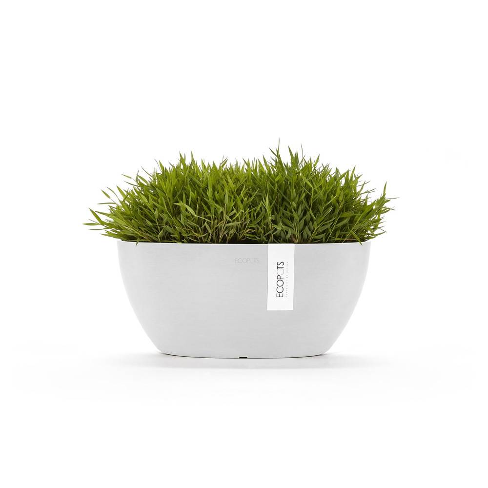 Ecopots - Pot Ovale Sofia 30 Blanc Pur + réservoir d'eau - 30 x 13 x H. 13,5 cm - 2,7 L ECOPOTS - Imagen 1