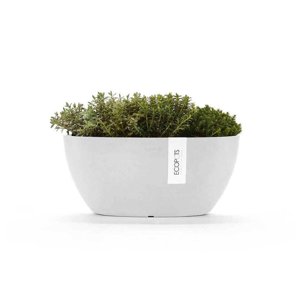 Ecopots - Pot Ovale Sofia 30 Blanc Pur + réservoir d'eau - 30 x 13 x H. 13,5 cm - 2,7 L ECOPOTS - Imagen 2