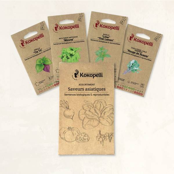 Saveurs asiatiques - 4 sachets de graines bio à semer - Imagen 2