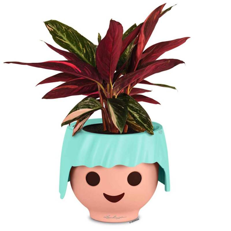 Lechuza - Pot OJO - Kit Complet, aigue-marine  - 21 × 21 × 15,75 cm Lechuza - Imagen 2