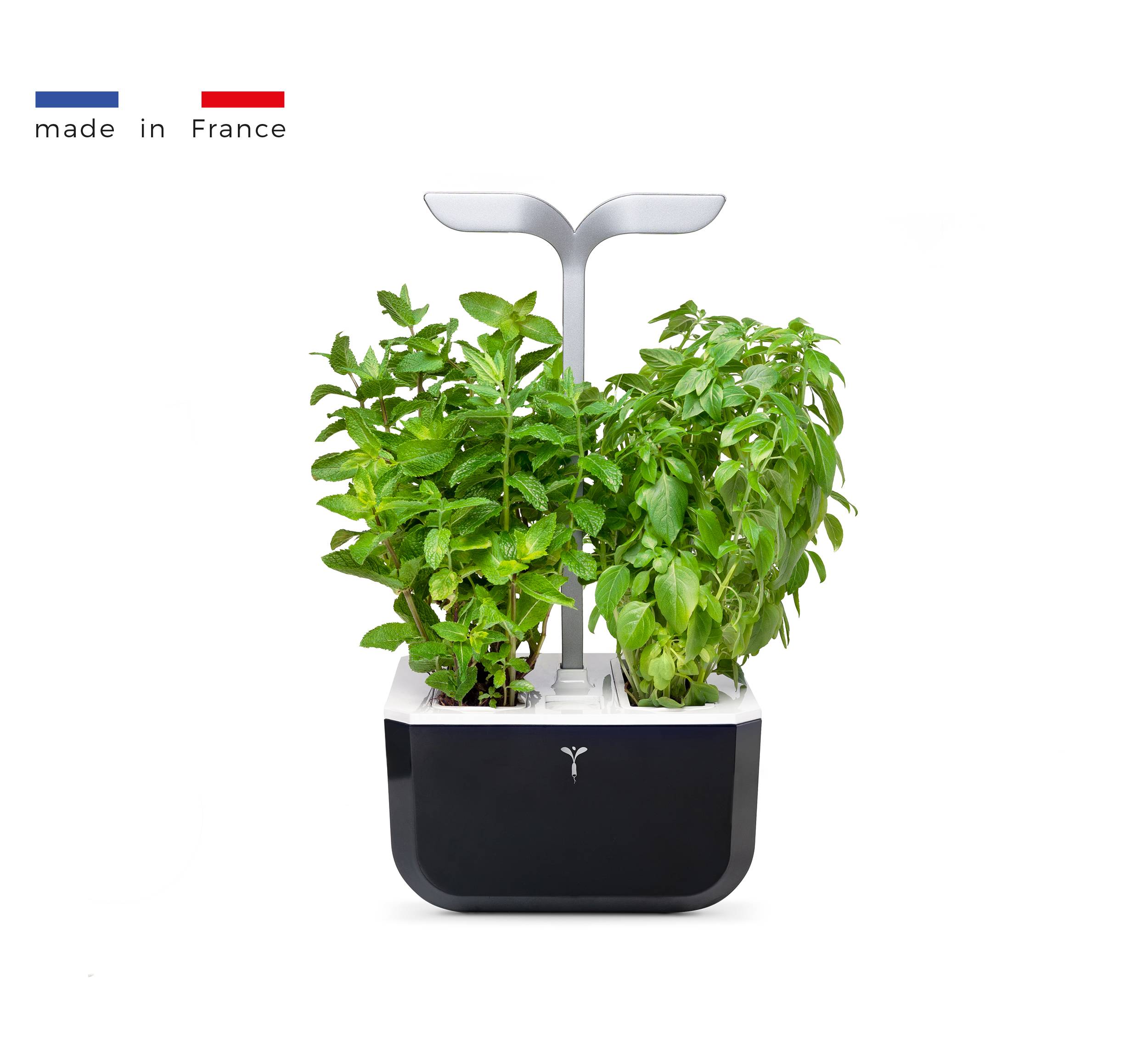 Veritable - Potager d'intérieur Autonome Véritable EXKY SMART Soft Black - Livré avec 2 Lingots - Véritable - Imagen 1