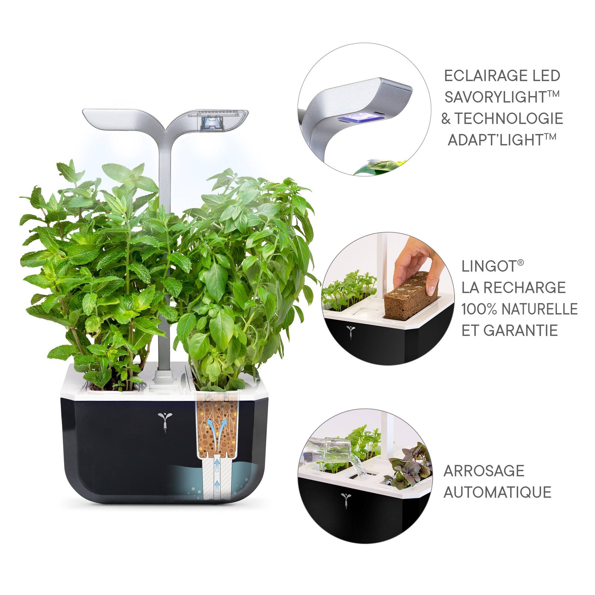 Veritable - Potager d'intérieur Autonome Véritable EXKY SMART Soft Black - Livré avec 2 Lingots - Véritable - Imagen 5