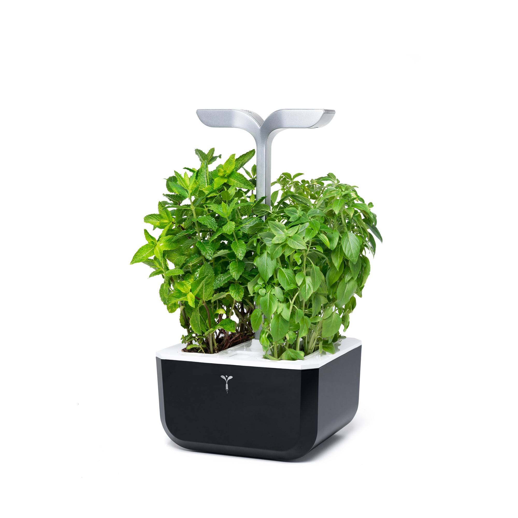 Veritable - Potager d'intérieur Autonome Véritable EXKY SMART Soft Black - Livré avec 2 Lingots - Véritable - Imagen 2