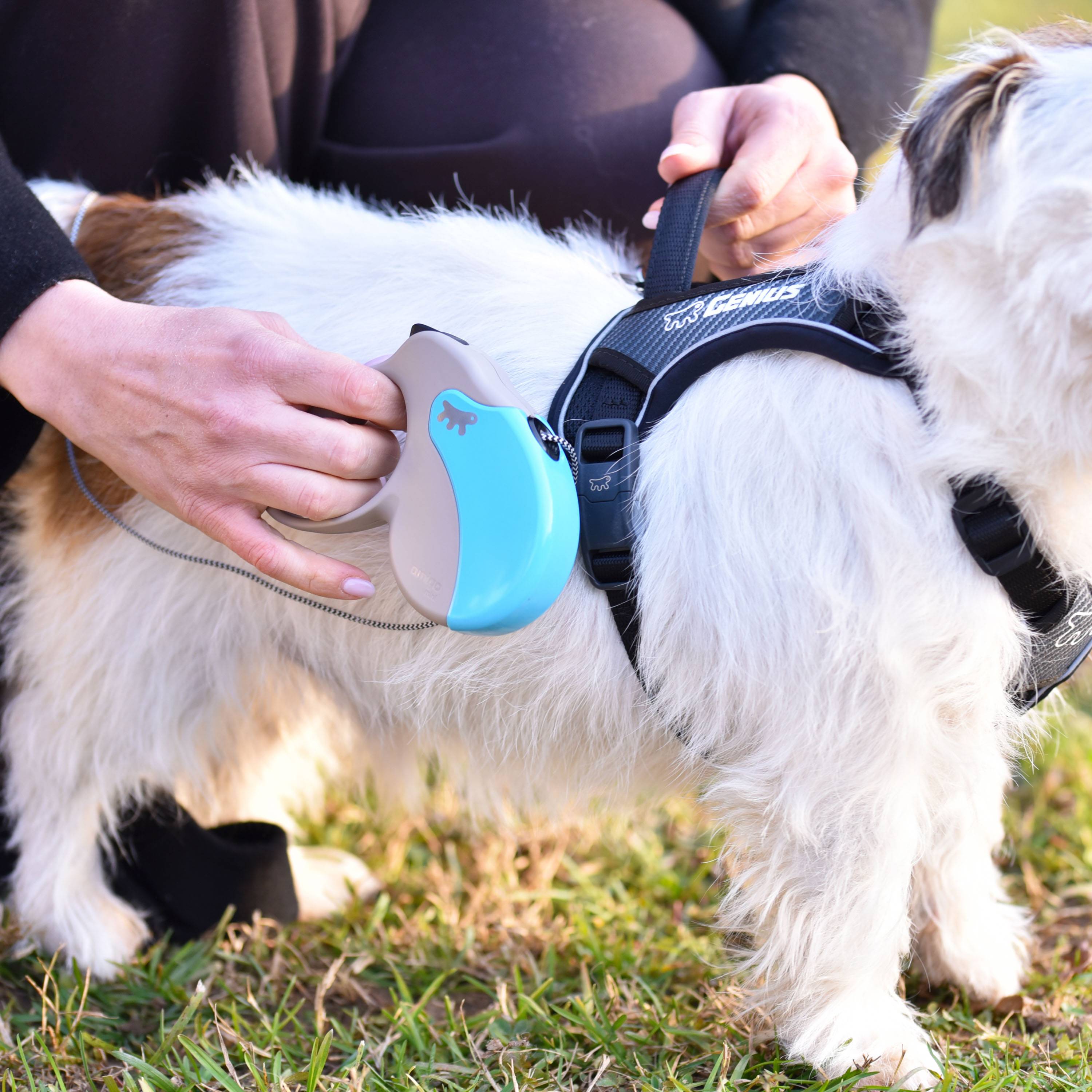 Ferplast - Ferplast Laisse Chien Enrouleur AMIGO MINI, laisse pour petits chiens jusqu'à 12 Kg. Cordon Extensible max 3 m. Bouton de verrouillage et de - Imagen 3