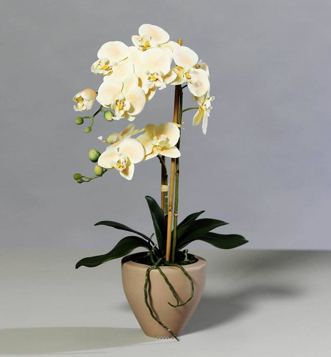 Orchidee factice 2 hampes pot Ceramique H57cm touché réel Vanille - couleur: Vanille - Image 2
