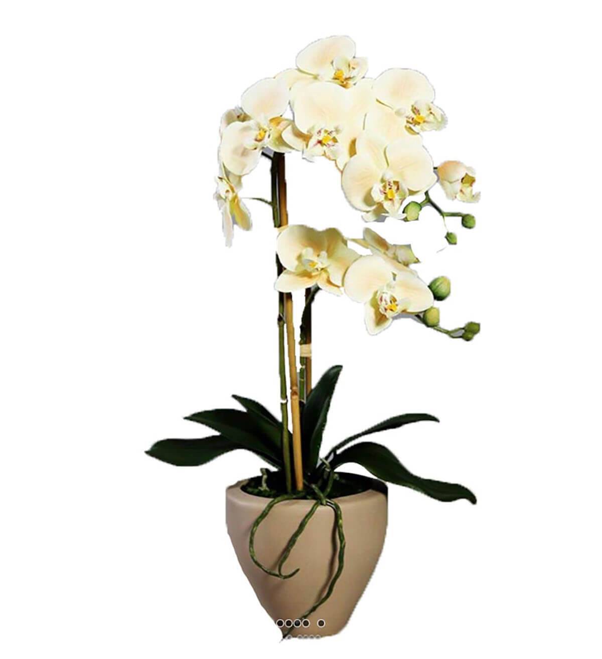 Orchidee factice 2 hampes pot Ceramique H57cm touché réel Vanille - couleur: Vanille - Image 1