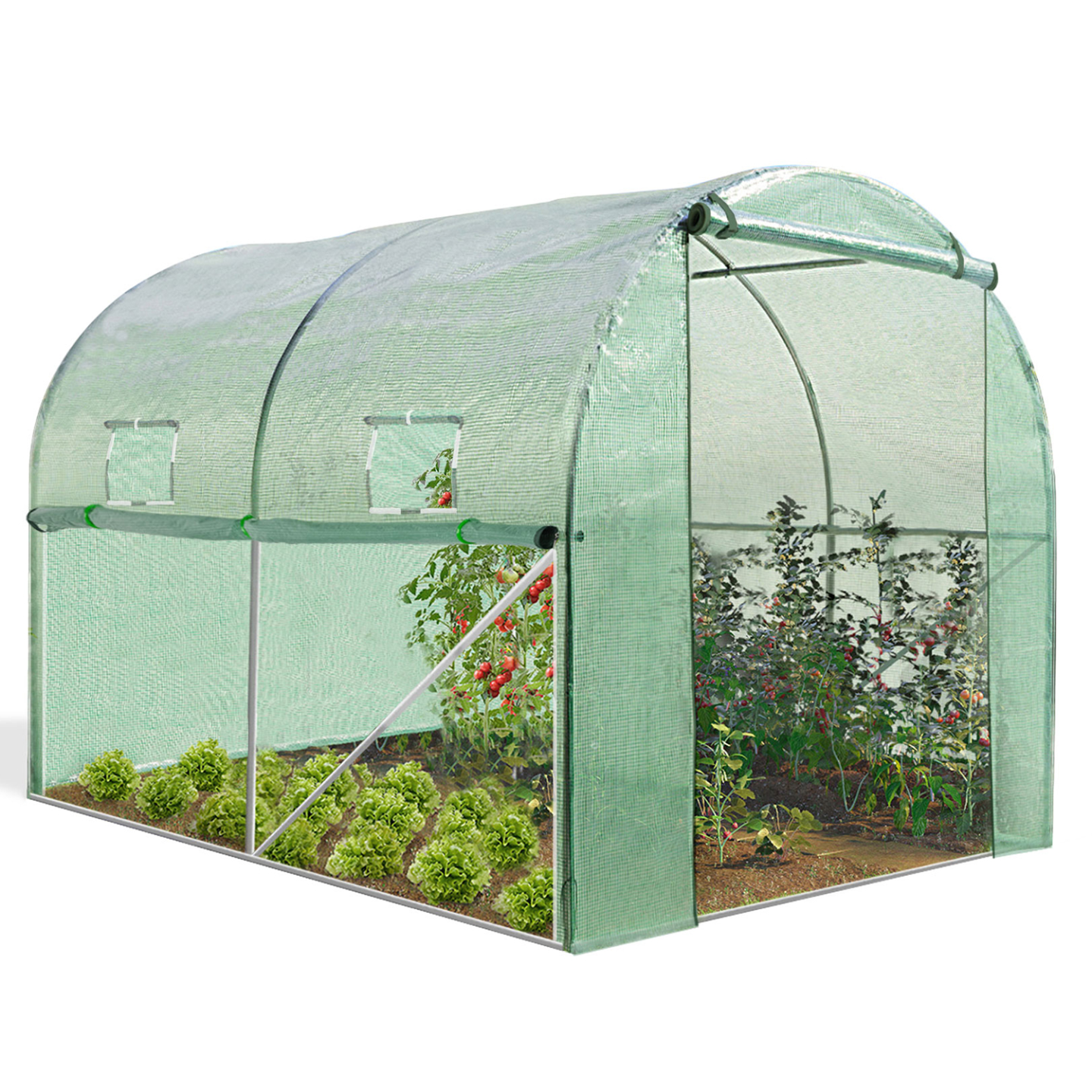 Serre tunnel de jardin 4 saisons 6M² verte gamme maraîchère ROMA 2x3M - Image 2