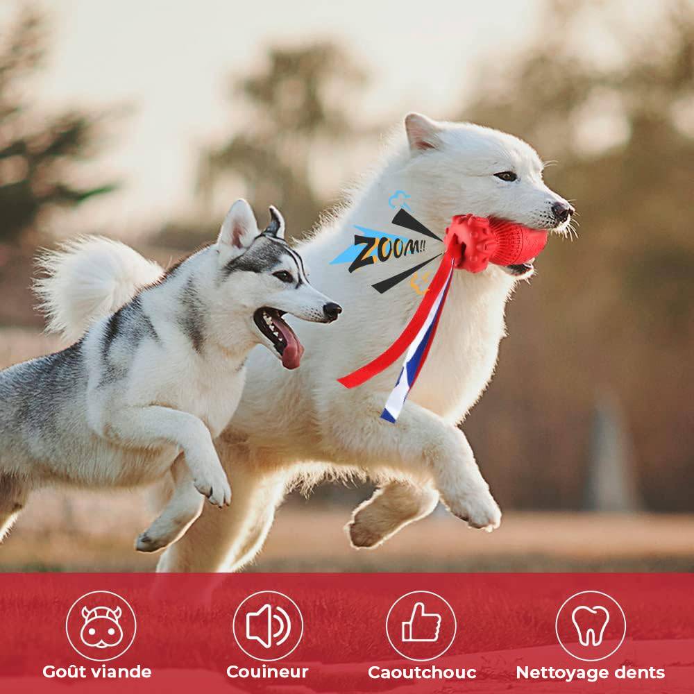 Petsation - Jouet rouge en latex à mâcher robuste et résistant pour moyens et grands chiens - Petsation - Imagen 8