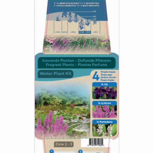Kit de plantes d'étang - Plantes parfumées - Image 2