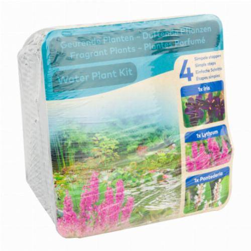 Kit de plantes d'étang - Plantes parfumées - Image 3