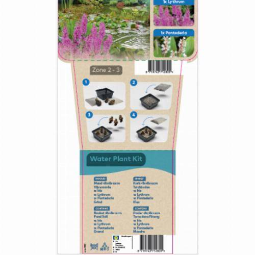 Kit de plantes d'étang - Plantes parfumées - Image 1