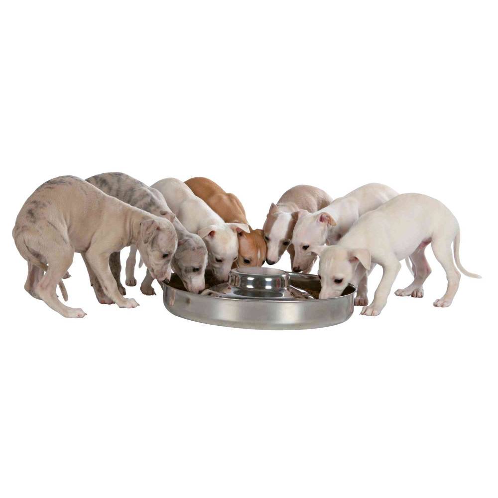 Écuelle pour chiots, 1,4 Litre,  ø 29 cm, pour chien - Imagen 2