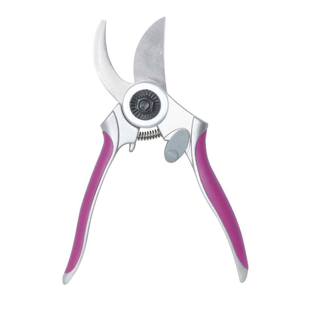 SECATEUR FLEUR ET FERUIT LAME EN INOX 200MM DS GARDEN