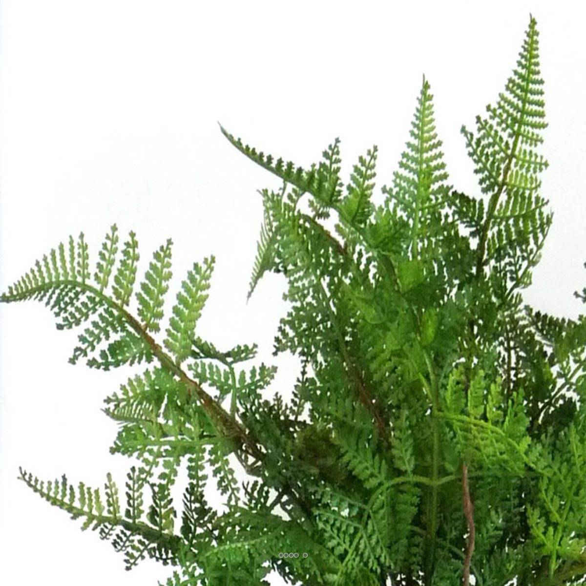 Artificielles - Fougère des bois artificielle en pot plastique H 38 cm top produit - Imagen 2