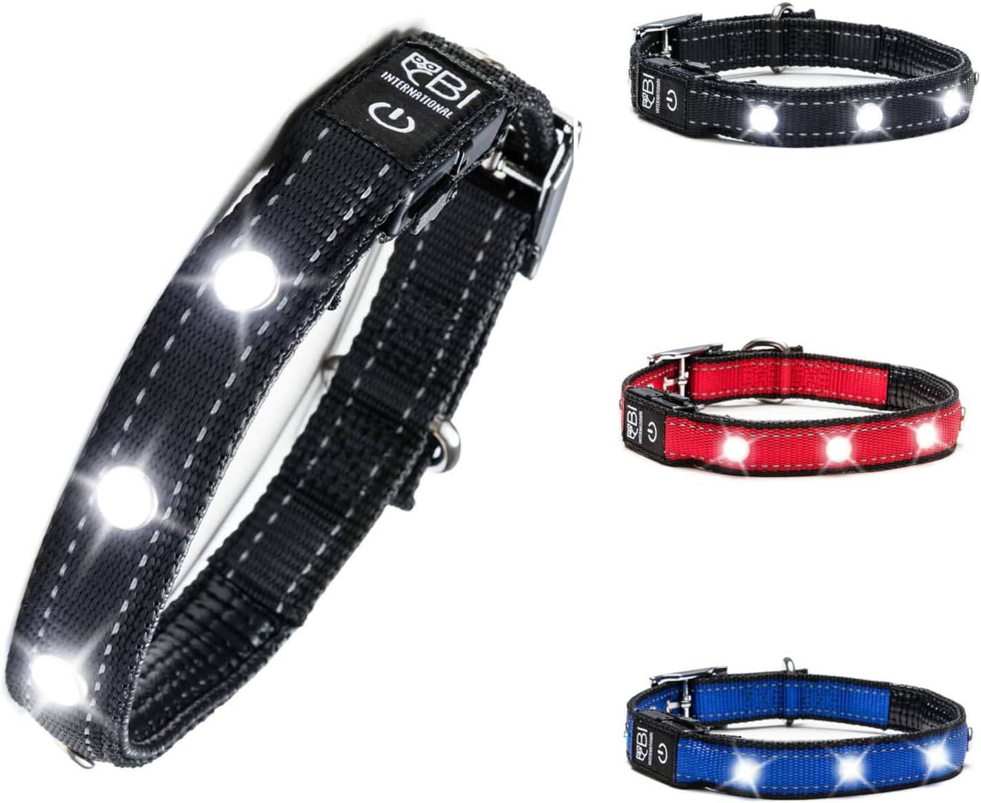 Bi International - Collier Lumineux pour Chien - Rechargeable par USB - Nylon renforcé - Haute Qualité, Stabilité & Sécurité (noir, S) - BI International - Imagen 1
