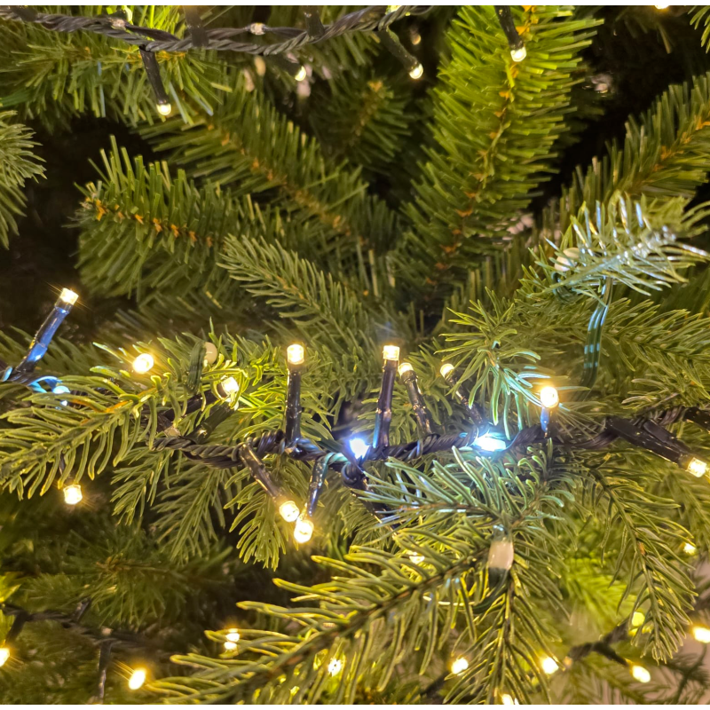 Lotti - Guirlande BOA défilant 30m 1660 LED bi-colore blanc chaud et froid avec contrôleur 7 modes IP44 câble vert - Image 2