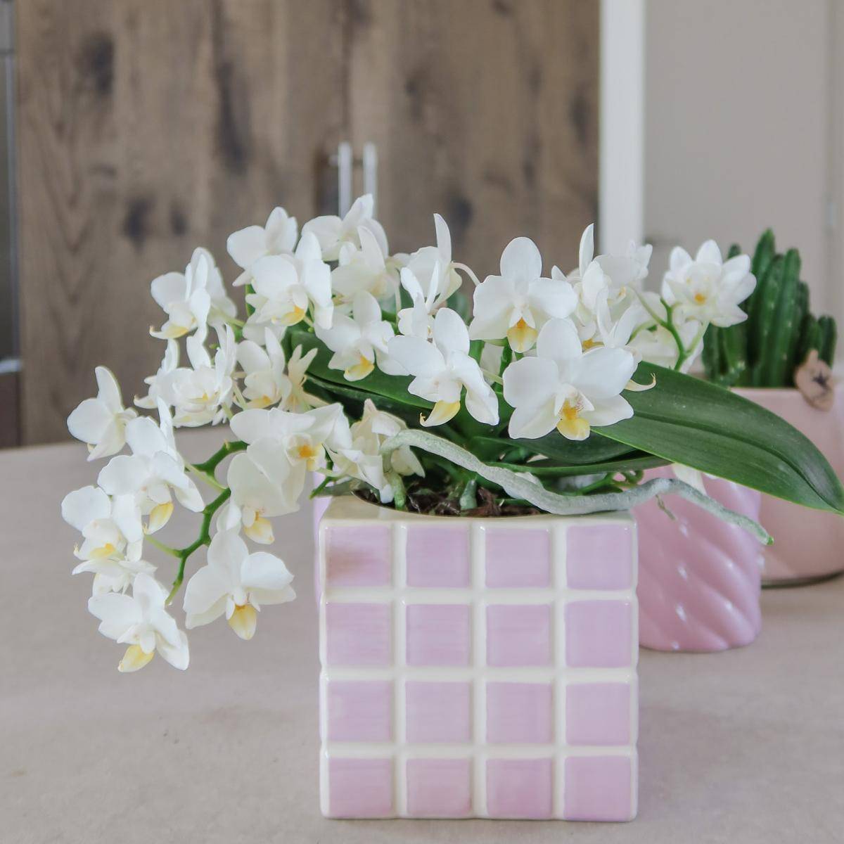Pot décoratif Mosa Pink- La Green Touch - Imagen 5