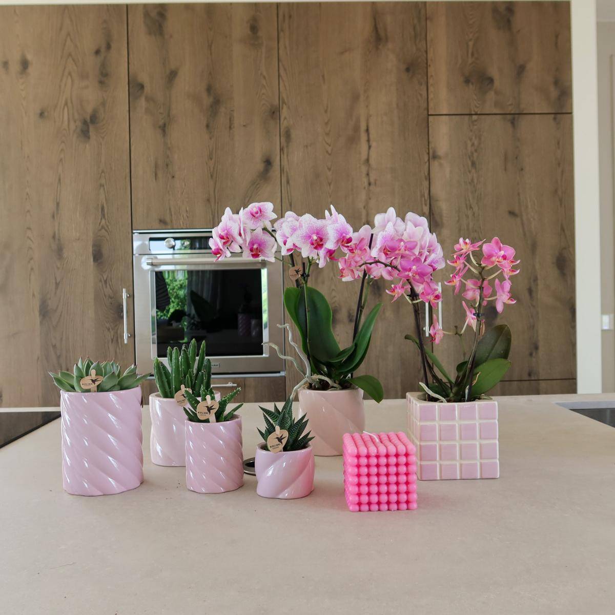 Pot décoratif Mosa Pink- La Green Touch - Imagen 7