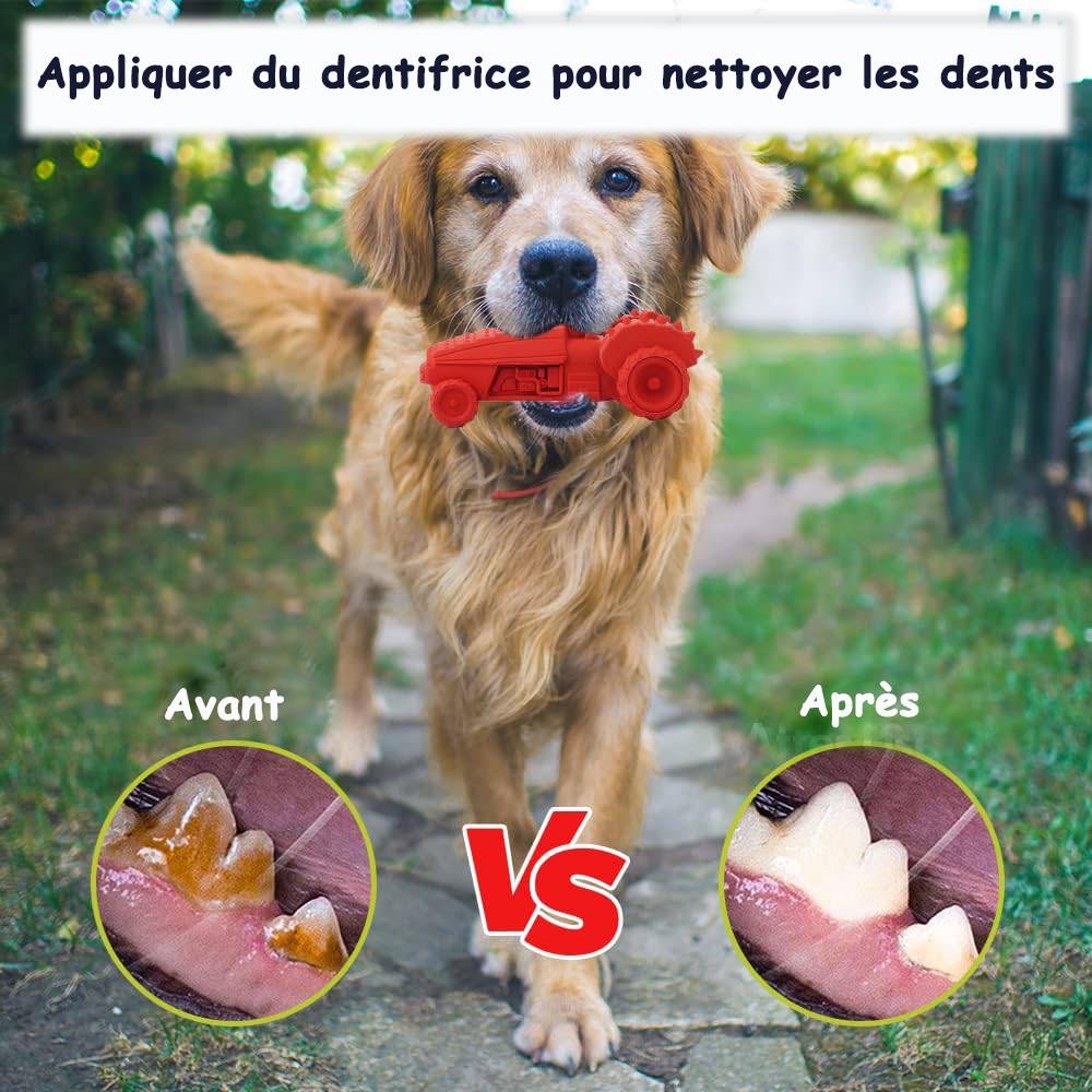 Petsation - Jouet rouge en latex à mâcher robuste et résistant pour moyens et grands chiens - Petsation - Imagen 4