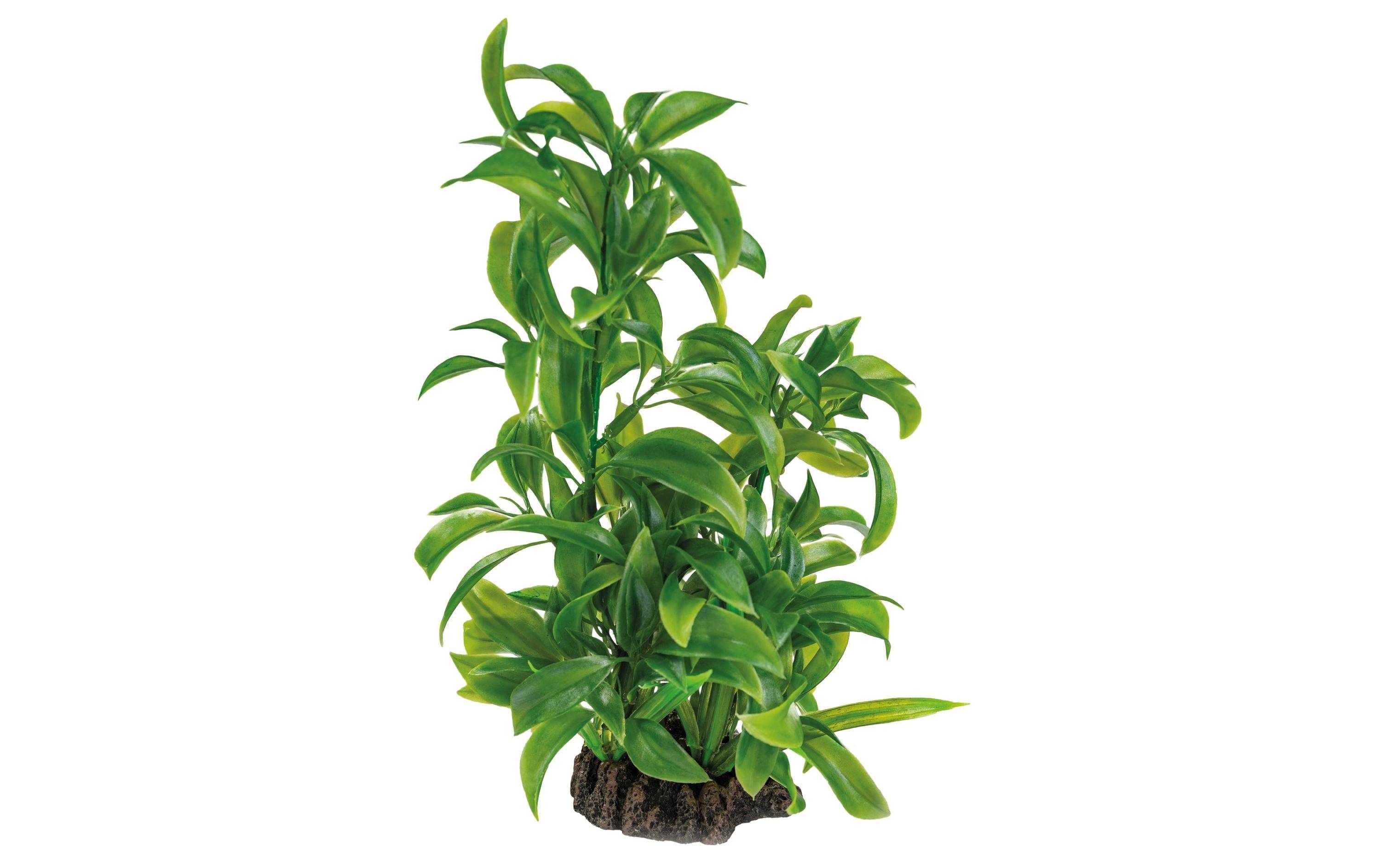 Superfish - Plante artificielle Dracaena plastique vert 25 cm - SUPERFISH