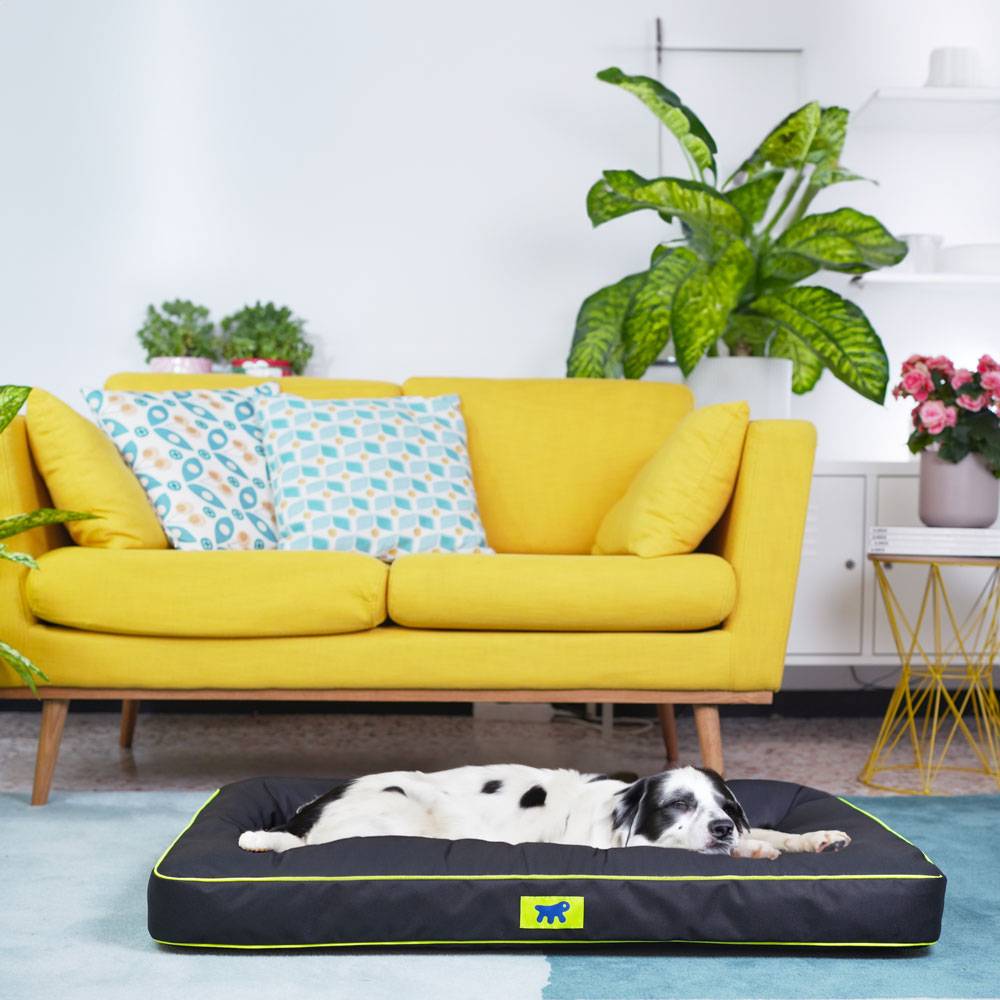 Ferplast - FERPLAST Panier Chien Chat - Coussin Orthopédique Chien - Lavable en Machine - Tapis Chien - Lit Chat Chien - Imperméable & Anti-Rayures - Rembourrage - Imagen 3